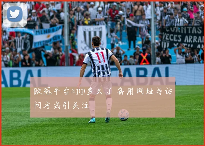 欧冠平台app多久了 备用网址与访问方式引关注